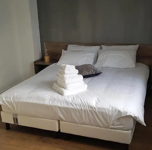 招待所 Deluxe, Voyages D'affaires.