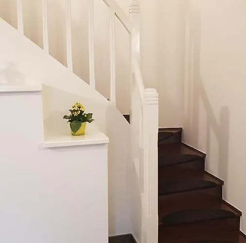 招待所 Deluxe, Voyages D'affaires. 4*